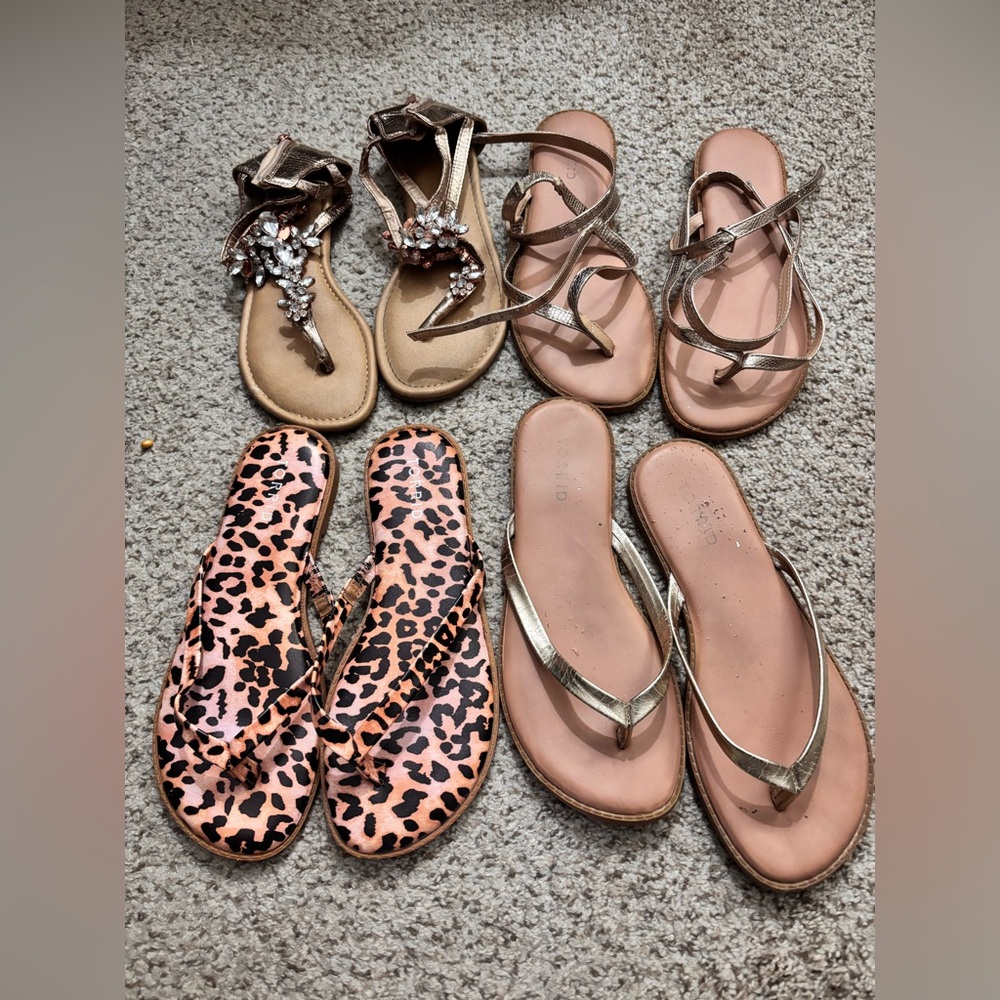 Stylish Sandal Collection - Set of 4 Torrid